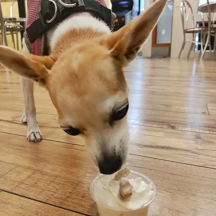 Scoops on Spruce Picture 9