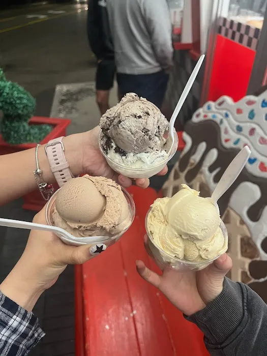 Sugar Lips Ice Cream Shop Picture 9