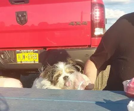 The Scoop of Whitney Point