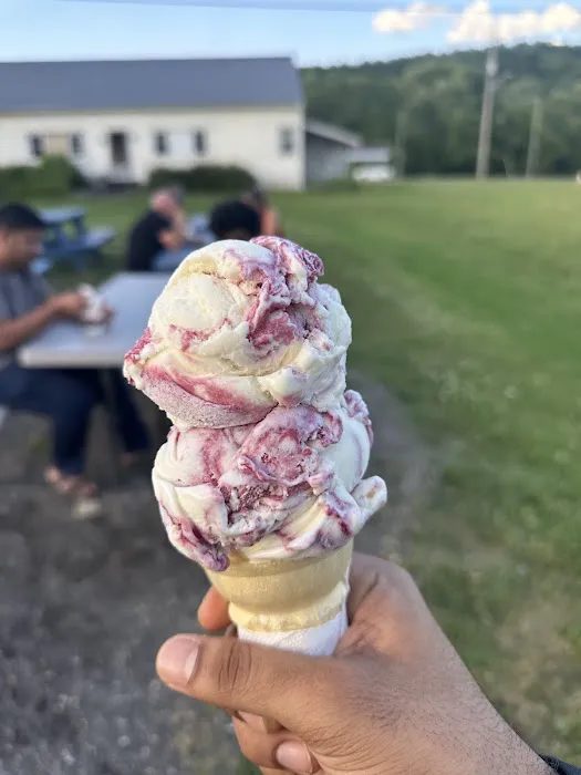 The Scoop of Whitney Point Picture 2
