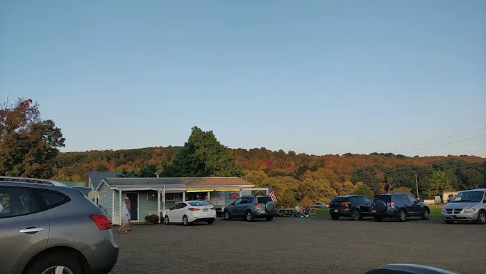 The Scoop of Whitney Point Picture 8