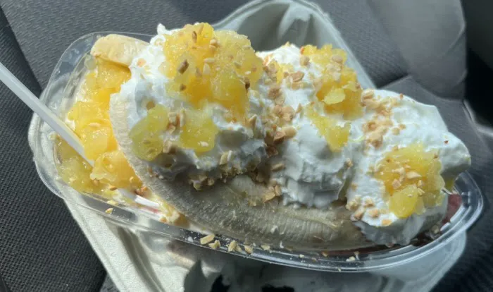 Cones Picture 8