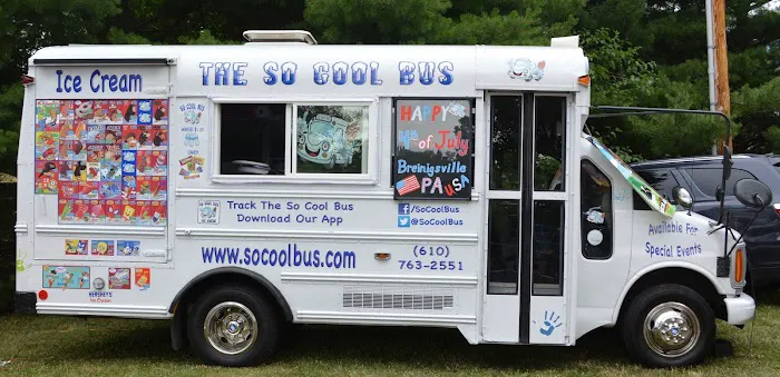 So Cool Bus Ice Cream Truck Picture 5