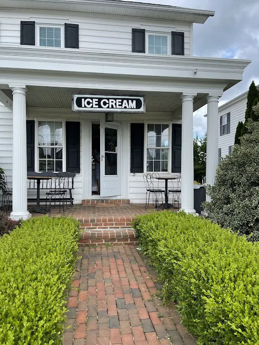 Scooped Ice Cream Picture 8