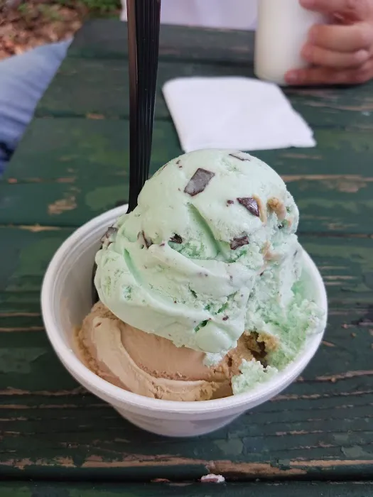 Maryann's Dairy Bar Picture 4