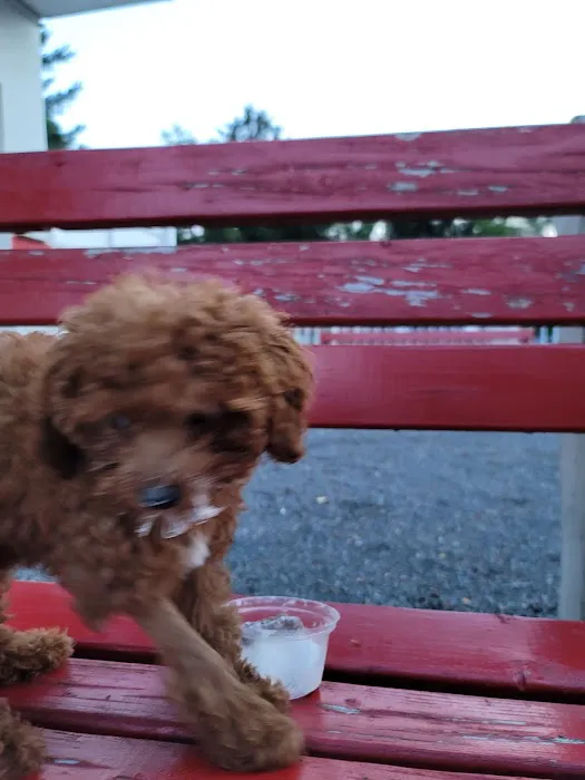 Rita's Italian Ice & Frozen Custard Picture 8