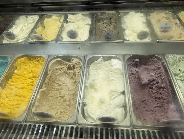 Llama Ice Cream Picture 3