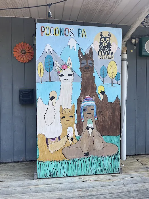Llama Ice Cream Picture 7