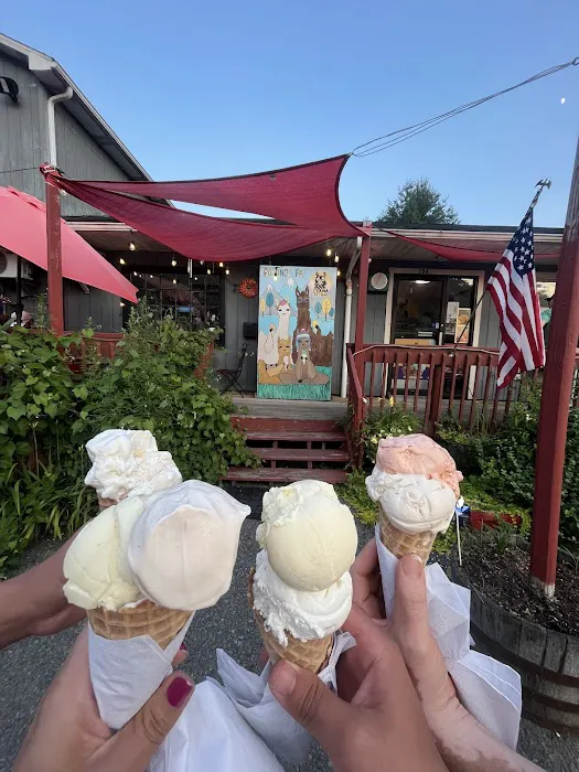 Llama Ice Cream Picture 2
