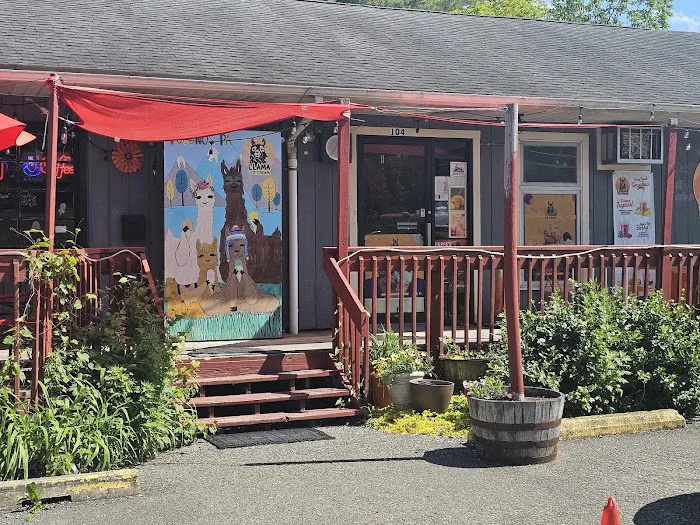 Llama Ice Cream Picture 1