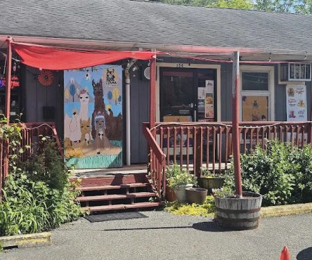 Llama Ice Cream