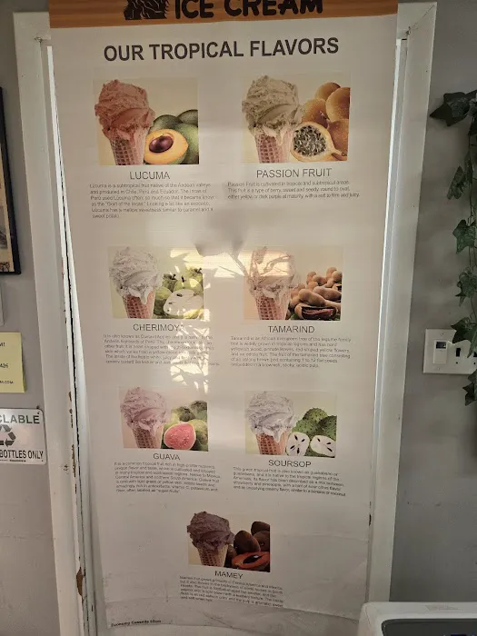 Llama Ice Cream Picture 10