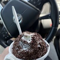 The Shake Place ico