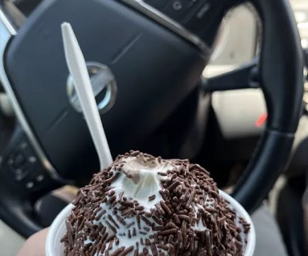 The Shake Place