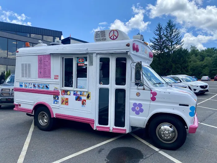 Magic Bus Ice Cream - Magic Bus LLC Picture 2