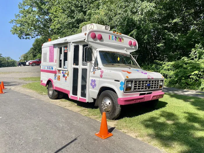 Magic Bus Ice Cream - Magic Bus LLC Picture 4