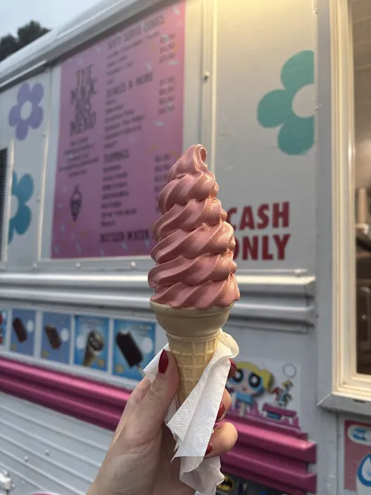 Magic Bus Ice Cream - Magic Bus LLC Picture 3