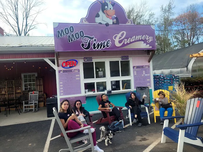 Moo Moo Time Creamery Picture 3