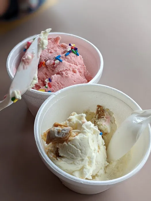 Emily's Ice Cream Picture 3