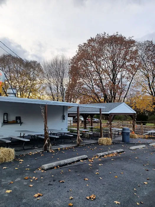 Spot Drive-In Picture 3