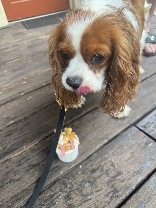 Lock 24 Ice Cream Picture 10