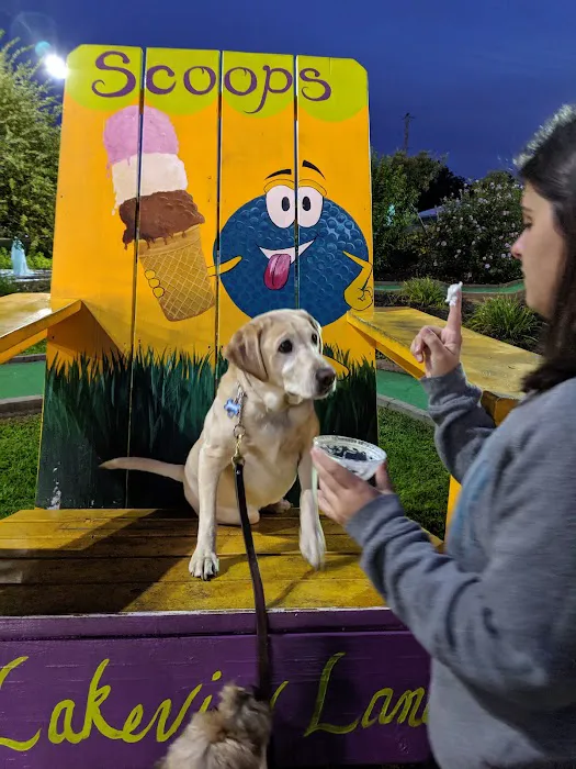 Scoops Picture 6