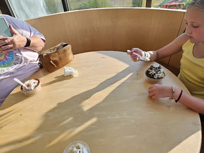 Sunshine Icecream Picture 8