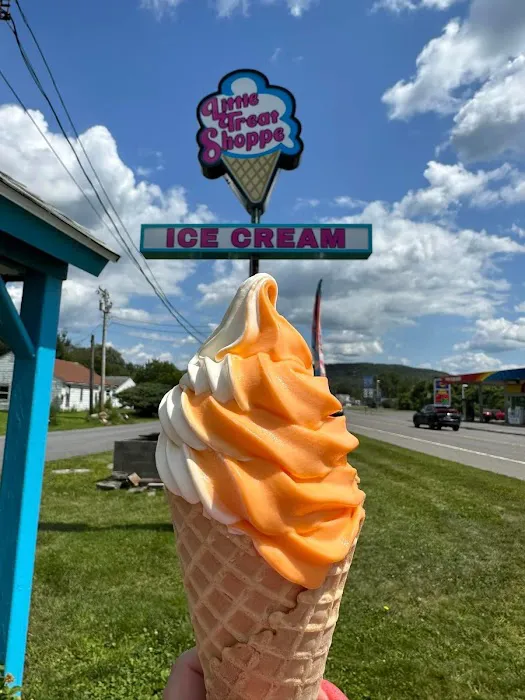 The Little Treat Shoppe In Polkville NY Picture 5