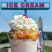 The Little Treat Shoppe In Polkville NY ico