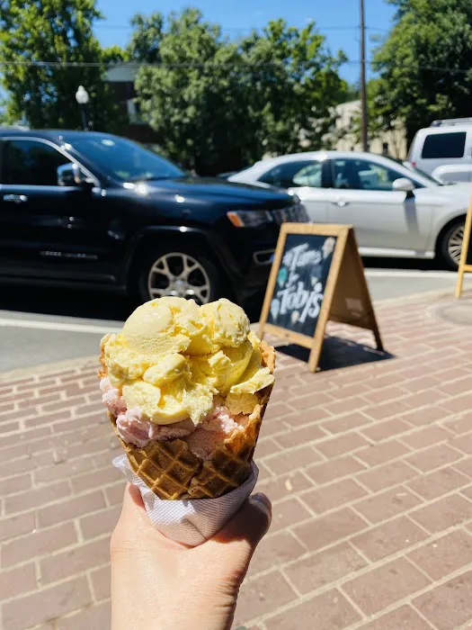 Toby's Homemade Ice Cream Picture 8