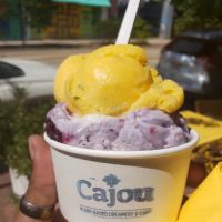 Cajou - A Plant-Based Creamery & Cafe ico