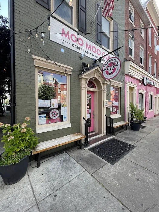 Moo Moo Cows - Ice Cream Picture 5