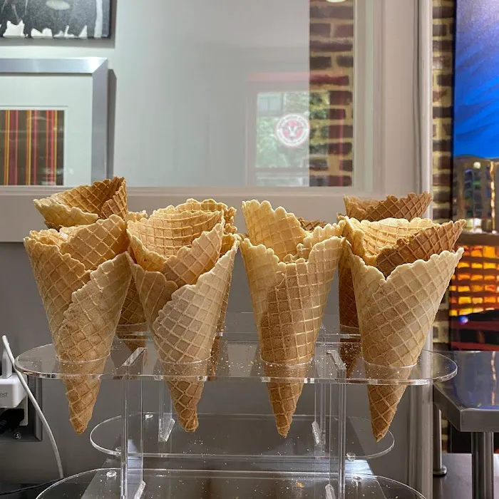 Moo Moo Cows - Ice Cream Picture 8