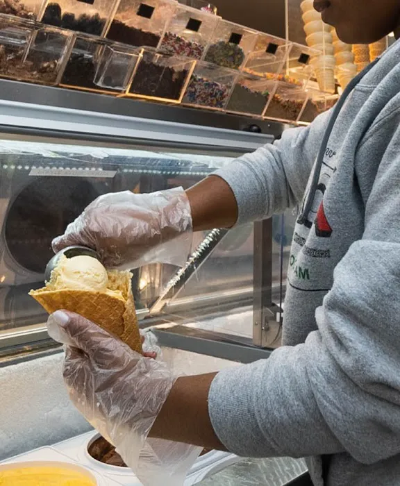 Here's The Scoop Picture 4