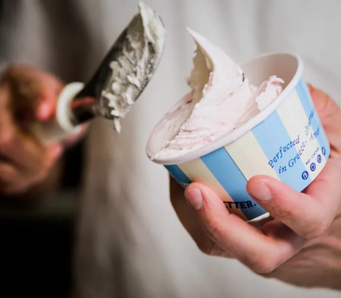 Yala Greek Ice Cream Picture 6
