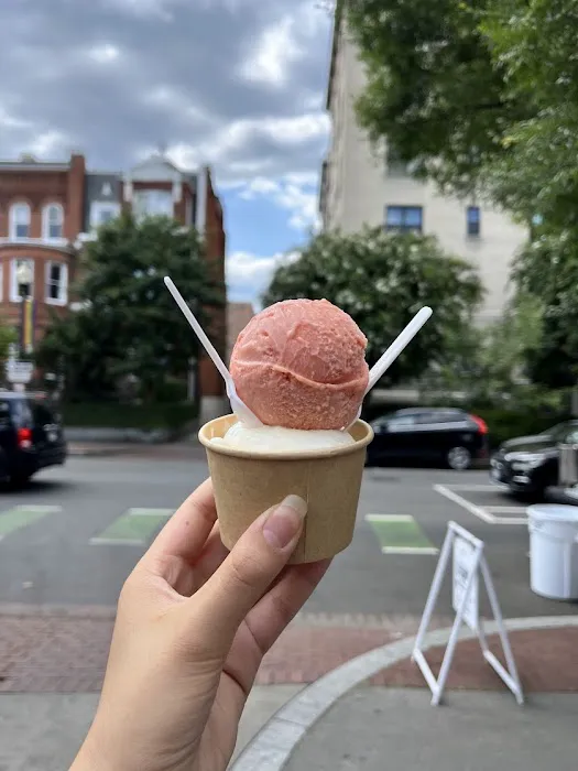 Happy Ice Cream — Scoop Cart Picture 1