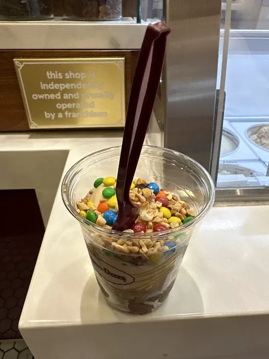 Häagen-Dazs Ice Cream Shop Picture 6