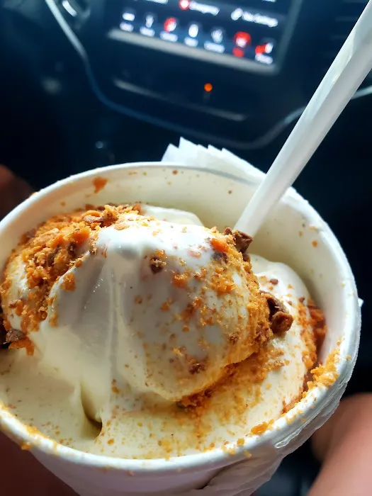 Tasty Scoops Ice Cream Parlor Picture 8