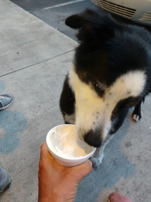 Tasty Freeze Picture 2