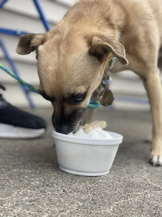 Tasty Freeze Picture 5