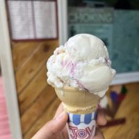 The Cow Lick ico
