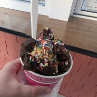 Wahoo Ice Cream Shop ico