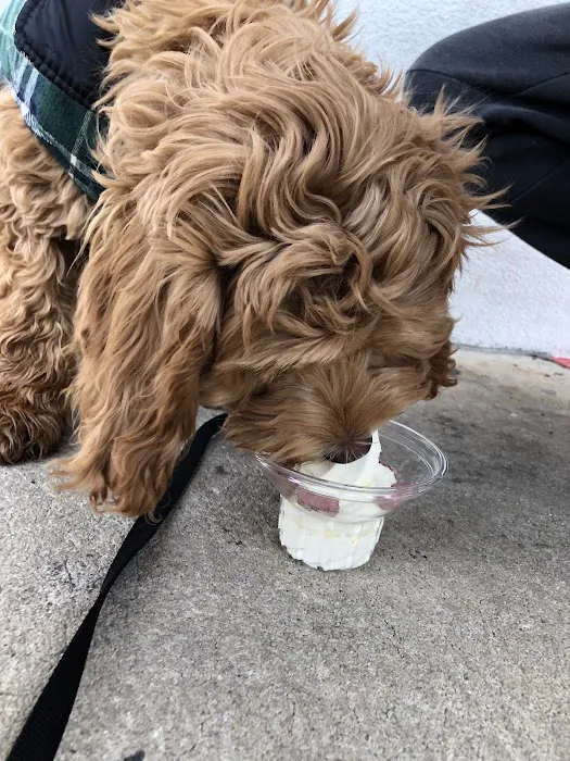 Rita's Italian Ice & Frozen Custard Picture 4