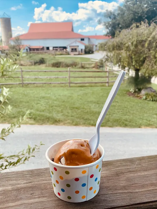 Chester Springs Creamery Picture 10