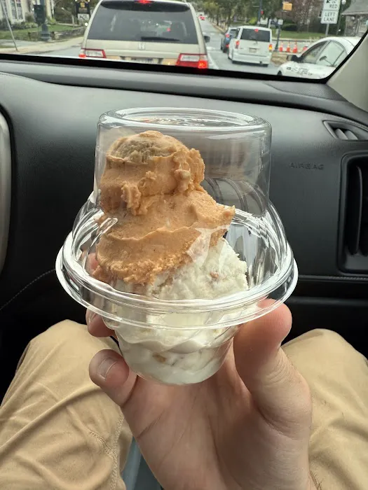 Handel’s Homemade Ice Cream Picture 6