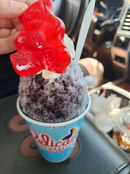Pelican's SnoBalls Picture 4
