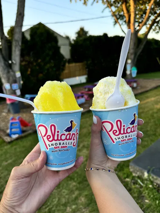 Pelican's SnoBalls Picture 8