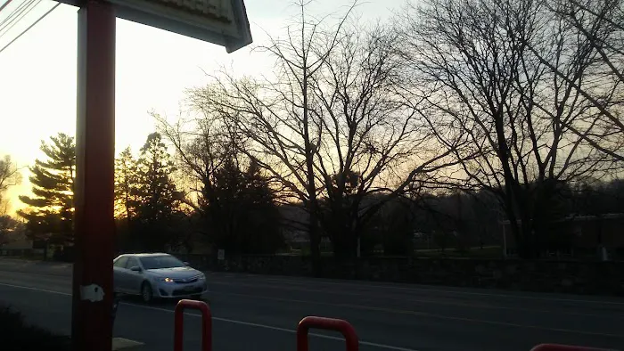 Dairy Queen (Treat) Picture 7