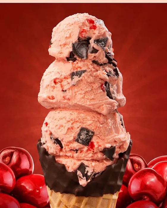 Handel's Homemade Ice Cream Picture 4