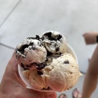 Scoupe Deville Ice Cream Parlor ico